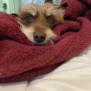 Meet your Posher, Wendy